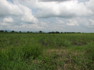 Land site