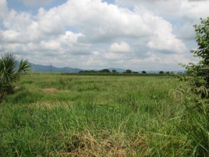 land site looking west