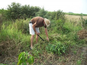 Land Clearing with Machete