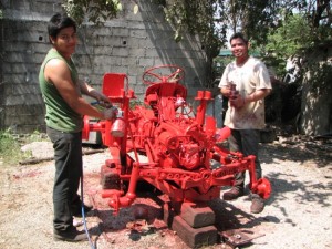 The Red Beauty