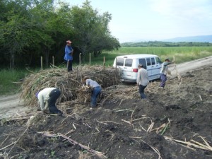 The sun is hot and the labor intensive