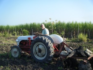 The long awaited disk at work on the landsite