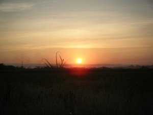 Sunrise over a sugarcane field on our way to the Missionary Training Center landsite