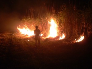 Javier silhouetted against the edge of the burning field