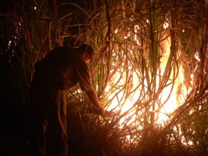 Lighting the fires