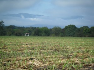 The mountains to the west of us in a low cloud cover