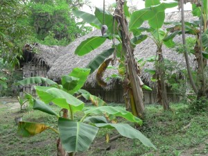 Village housing in San Antonio Huichimal - this is the real world here