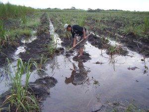 How farming is done in the real world