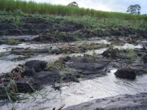 This is the devastation that we saw this morning after the most recent night of rain. Notice the seed cane piled up along the sides of the furrows which have become streams