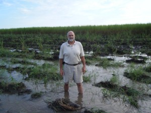 This is the level of the water that we found in our field this morning