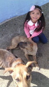 Little Anita at the Casa del Obrero with Pancho and Chuli. I'm not sure who will be the happiest to see the family finally move into the staff house, the little girl, or the dogs