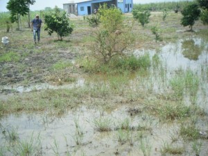 This is the condition of the land at the Training Center farm. Armando walks barefoot in the mud