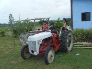 The little Ford tractor continues to be a work horse for the farm