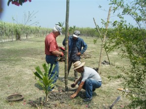 The work of training continues on the farm