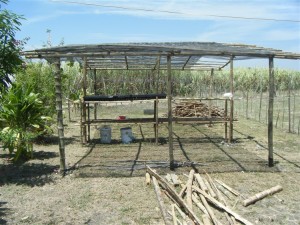 Shaded seed growing  beds begin taking place on the farm
