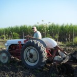 The long awaited disk at work on the landsite