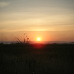 Sunrise over a sugarcane field on our way to the Missionary Training Center landsite