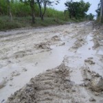 Our road this morning. This is what we have been fighting since the end of October