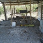 DSCF3967