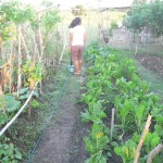 Alicia in garden area