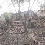 More Pame housing