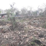 Pame dwellings