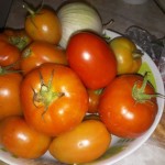 This year’s first production from the farm