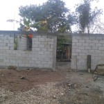 IMG-20190321-WA0003