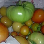 This year’s first production from the farm