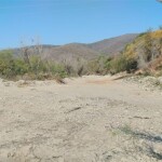 The lack of rain has caused a very severe drought in the region